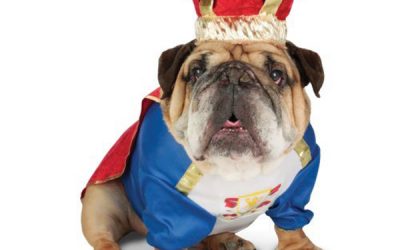 Property Marketing: Who’s Top Dog in Property Advertising? PART TWO