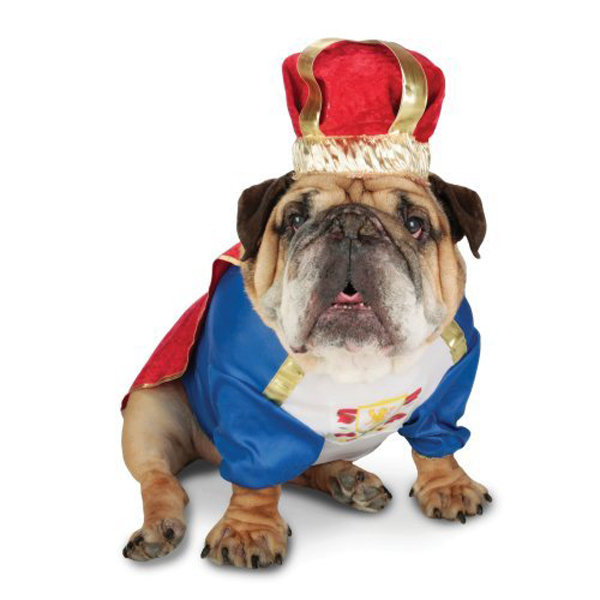 Property Marketing: Who’s Top Dog in Property Advertising? PART TWO